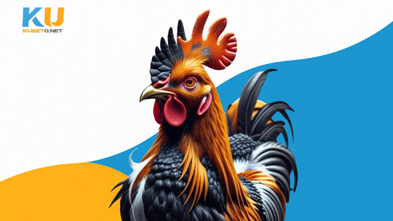 Kỹ Thuật Đổ Gà Đá Hiệu Quả Cho Người Mới Bắt Đầu 2 Kỹ thuật đổ gà đá hiệu quả